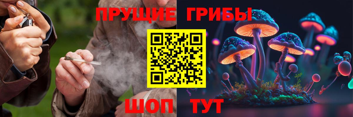 где продают   Вход с VPN  Псилоцибиновые грибы ЛСД  Луга  Галлюциногенные грибы мухоморы 